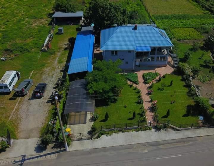 Casa Cu Trandafiri Murighiol Exterior foto